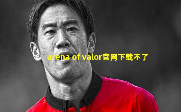 arena of valor官网下载不了